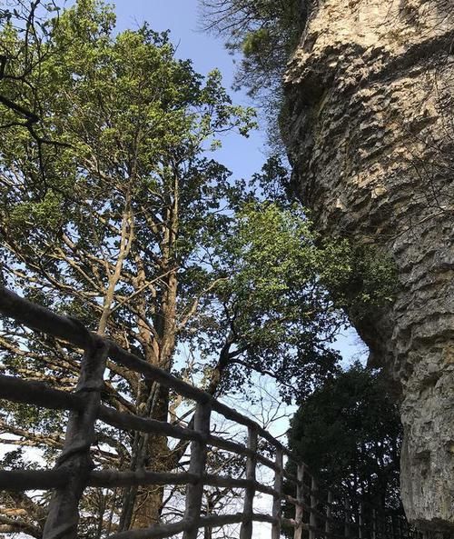  云海奇观|坐着电梯也能上的汉中龙头山究竟有啥美景？