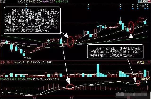  点破|巴菲特点破A股市场：如果手中10万资金想快速赚到500万，建议死记“五线之上满仓买，三线之下清仓卖”