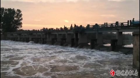  捕鱼|悲剧！灌云男子沭阳捕鱼落水，不幸溺亡