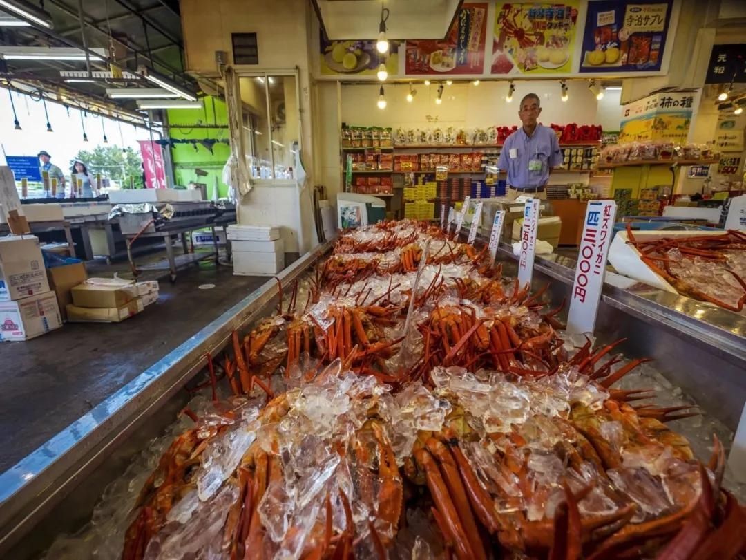 螃蟹|去日本哪里能吃上最好的日本蟹?