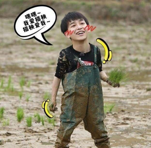  花絮|《向往》最累的人不是黄磊！未播花絮表明原因，农活全让他干了！