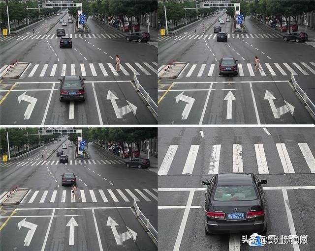 鄂州|不礼让行人？鄂州又一批车辆集中曝光