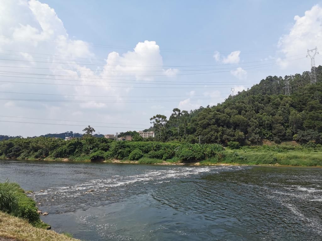  蝶变|深调研|从供水河到污水河再到清水河，东莞石马河何以蝶变？