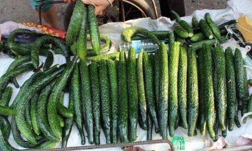  生长|“激素”黄瓜不要买，认准这4点，一眼辨就能辨出，再便宜也不要