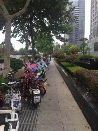 海安路瑞竹|看着都让人脸红！不文明“随手拍”第一期曝光！