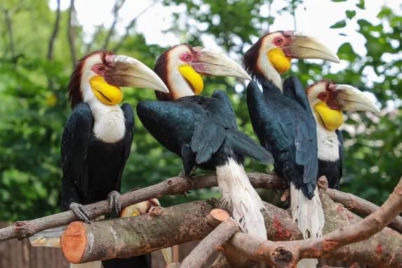  同名|明明和致命毒药鹤顶红同名，只因头骨比黄金还值钱，被人活活取骨