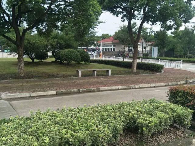 整改前|文明创建曝光台丨又有哪些不文明行为被曝光