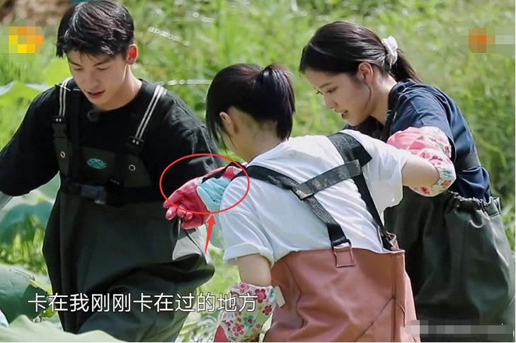  干活|《向往的生活》欧阳娜娜唱歌时，许光汉一边干活一边偷看，有点甜