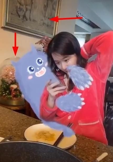  豪宅|孟非到底多有钱？23岁女儿穿睡衣出镜，暴露家中千万豪宅！