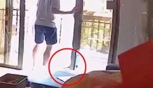 女子|女子自称北大博士后，网上评准研究生虐狗：一条狗命能值几个钱