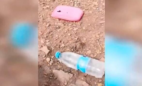  大学生|江苏女大学生生出于什么心理一个人去可可西里无人区？