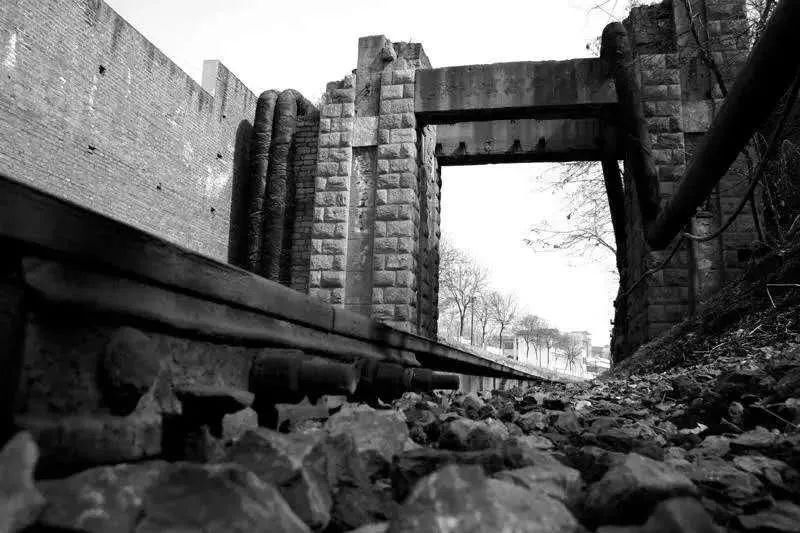  养父|尘封三十多年的身世之谜，如今她只想见一眼亲生父母