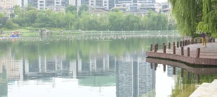  救人|男子跳湖救人，两部手机废了！目击者：手机我们买！