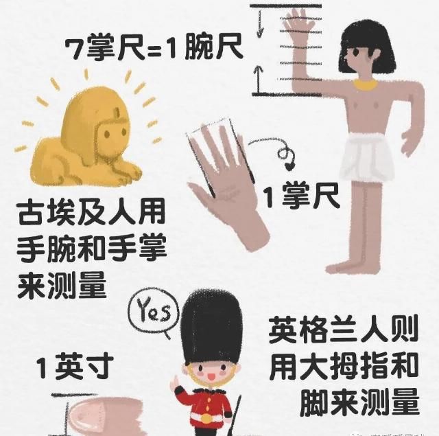 理解|我没有死记硬灌，就教会了4岁半的妞妞算面积和体积