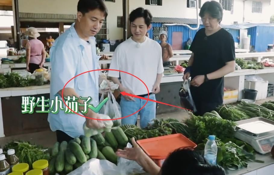  眼花|何炅黄磊出门买菜，谁注意他手上一共拿了多少钱？我没眼花吧！