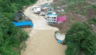  山体|山体滑坡搜救现场，搜救犬金毛为救人变“泥猴”