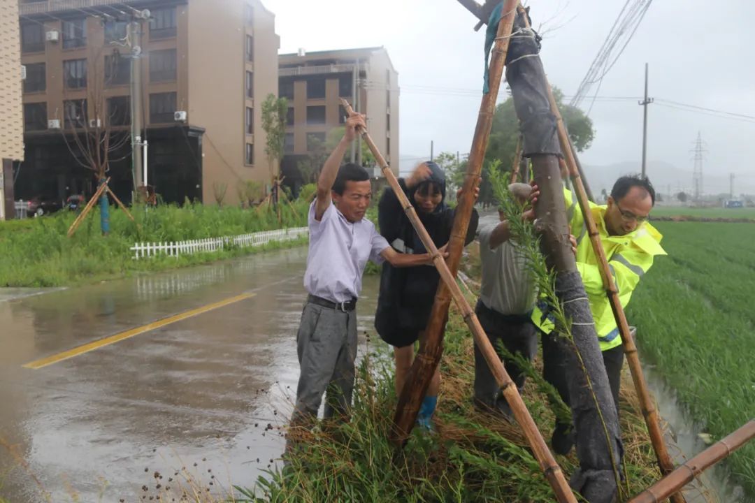 温岭|迎战台风“黑格比”，温岭全城在行动！