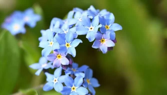  前程|8月开始事业前程光明，喜事一桩接一桩，终于苦到头的四大生肖