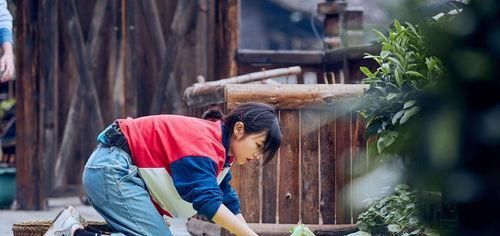  收视率|首播收视率就打破纪录，这是给《向往的生活4》的掌声和嘘声