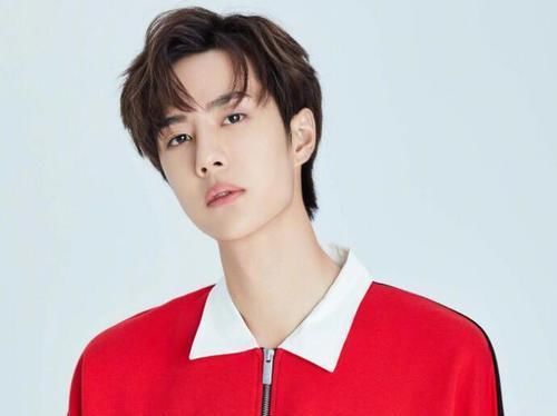  王一博|王一博没等来肖战的祝福，因为王一博经历过的肖战正在经历