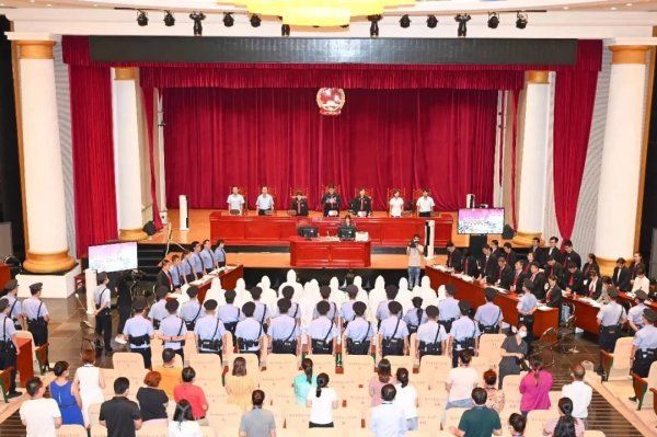 该组织|非法敛财1700余万！海口中院对沈东等人涉黑案一审公开宣判