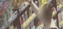 暗示|超市员工打老板主意,暗示妻子“一不小心”就买到过期商品
