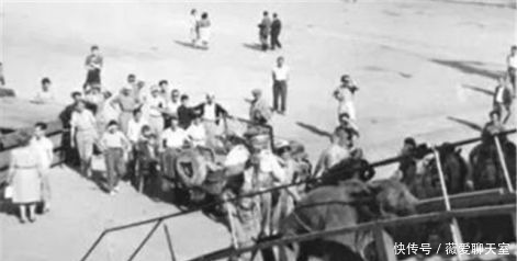 先不|抗日战场上,如果发现这种动物,宁愿先不打鬼子,也要将它消灭