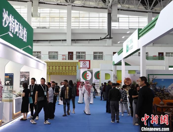 第六届中阿博览会上看“一带一路”