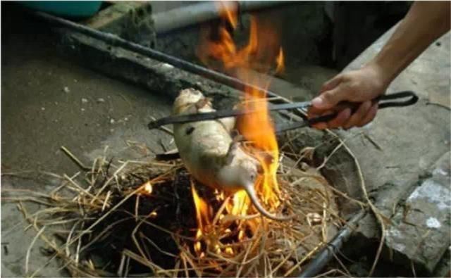 特工|越军特工嘴馋,化装我军潜入边境吃汽锅鸡,结果一锅端