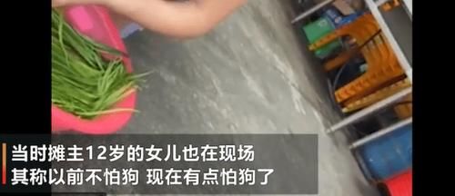  追责|真仁慈！被狗绳绊倒身亡老人家属不追责，突然感觉世界一片祥和