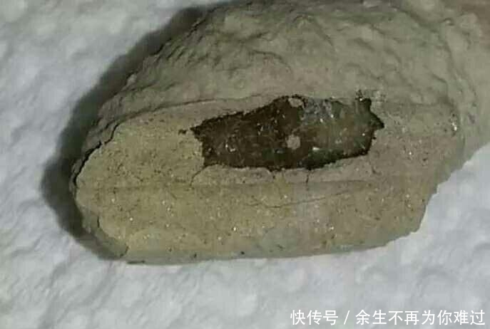  探头|女子正打扫卫生，背后掉下一块墙皮，探头一看吓得拔腿就跑