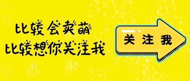 前女友|28岁陈雅婷有何过人之处？当看到她的“3D无痕裙”，王思聪口味好