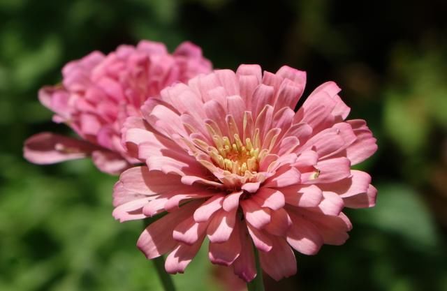  排行榜|十二星座男颜控排行榜，天秤座：颜值能当饭吃