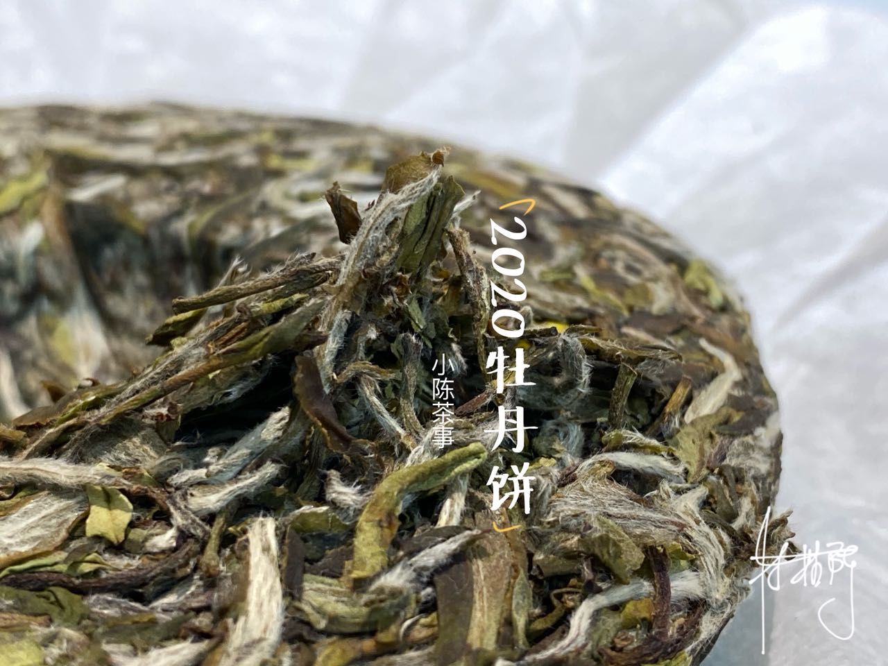 绿色|重金买回来的茶饼，是春寿眉还是白牡丹？懂行的人只看4点就够了