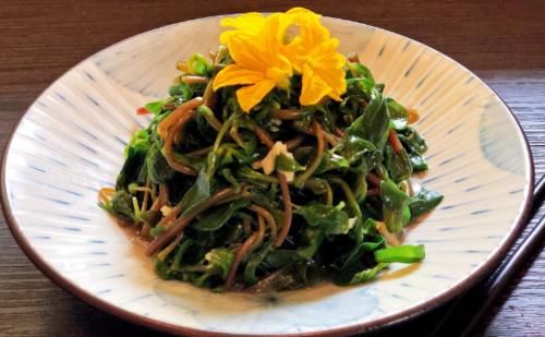 冷冻|9月,遇见这菜就买,一次多买一点,做好放冰箱冷冻,吃着方便