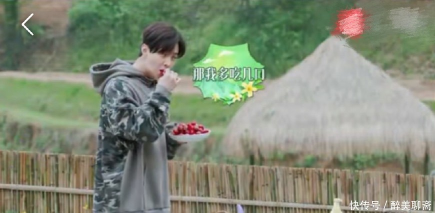 堪忧|刘宪华只顾自己吃草莓不懂分享,等黄磊生气才反应过来,情商堪忧