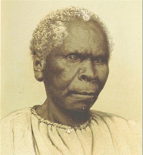 塔斯马尼亚|丈夫被解剖展览,她留下遗嘱,请求放过她,死后却仍被展览98年