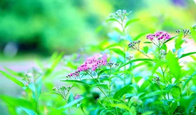  理智|人生感悟：越是在这三件事上“绝情”的人，越有福气