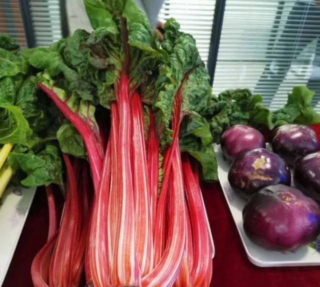 产业|黄河风物|宁夏西吉县冷凉蔬菜走向高端市场成为“必点菜”