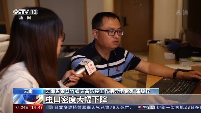 迁飞|黄脊竹蝗分三路迁飞入境云南 45组无人机组“定点”监测阻截