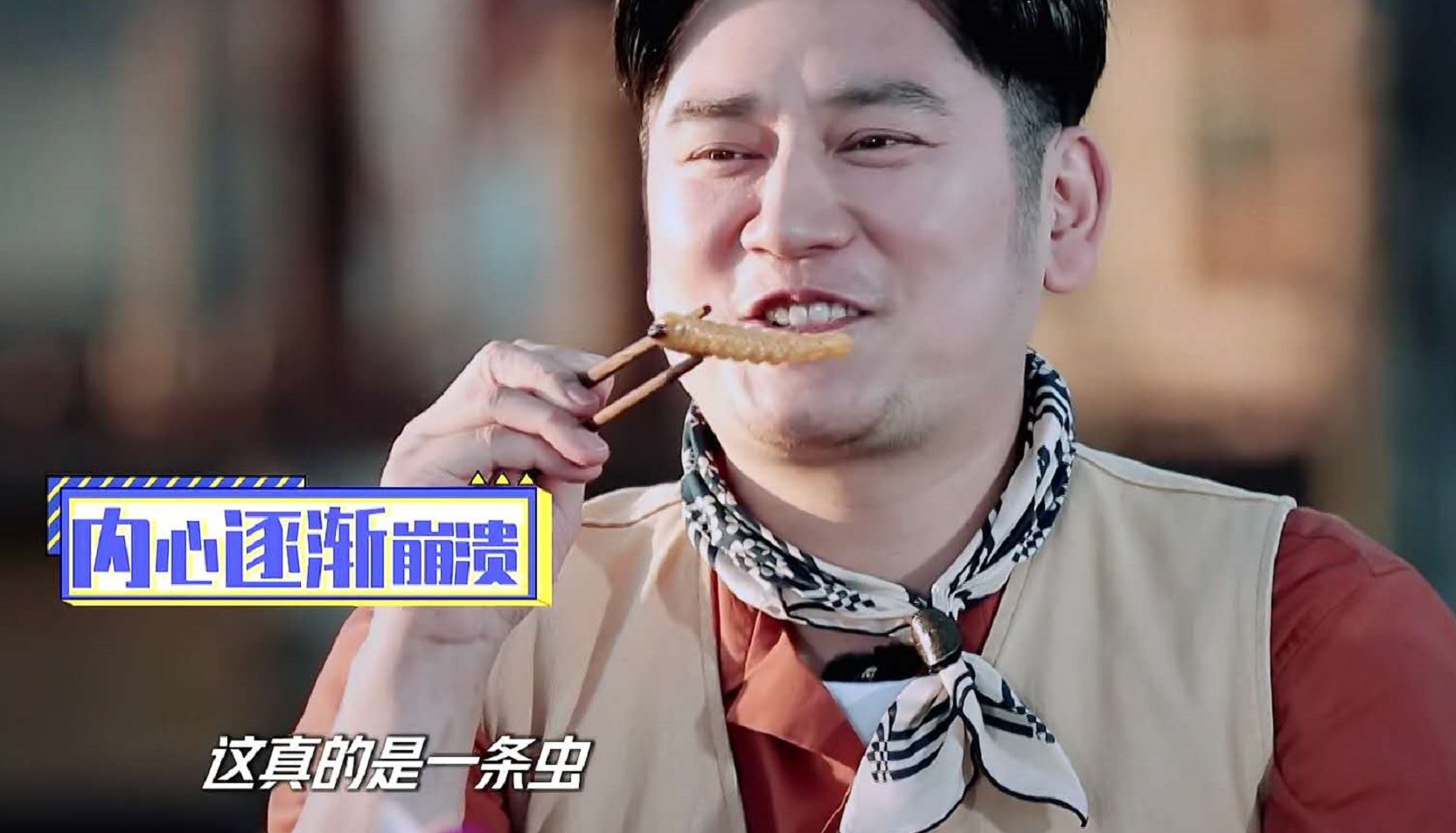  王一博|《天天向上》钱枫吃虫，王一博表情扭曲，可吃起来比谁都香！