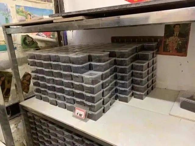 野生动物|这家粉丝300万，年销售额1000多万的“网店”竟然凉了……