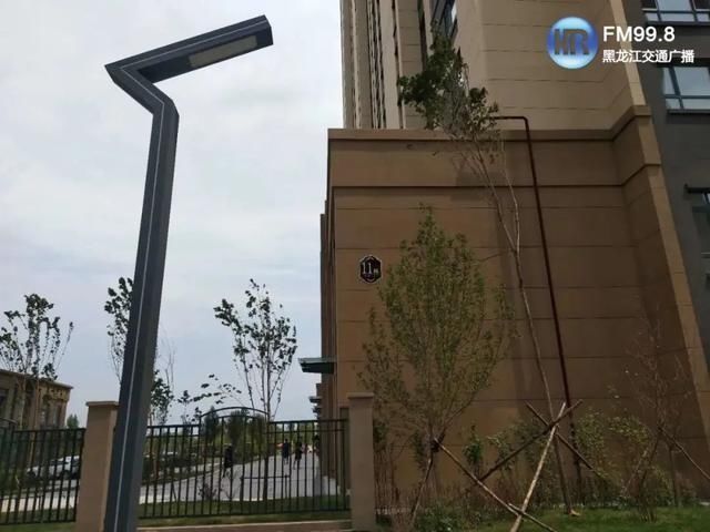  女子|哈尔滨女子从18楼坠落，当场身亡