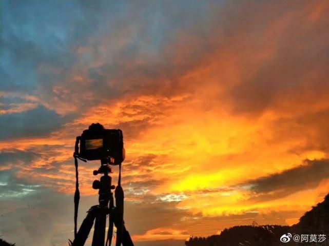  李子|她用3年时间爆改老宅，把荒地变花海：原来除了李子柒，我们还有另一种田园牧歌