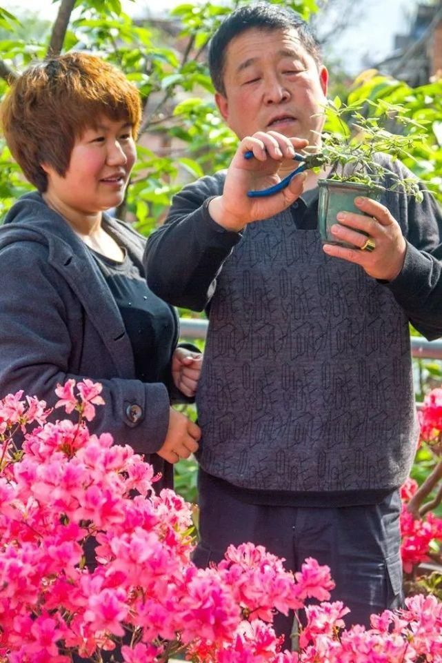  盆景|金寨一帮退休的老家人，都能玩一手绝活！