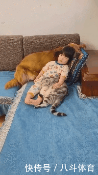 gif|搞笑gif:为了藏5元私房钱,又逼疯了一个