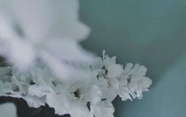  看懂|傻子走了，骗子傻了！（看懂的人，都傻过）