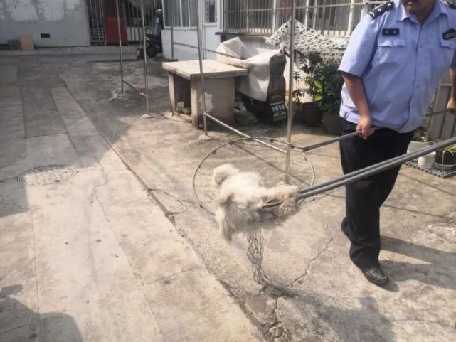 现象|文明创建曝光台丨今天曝光这些不文明现象！