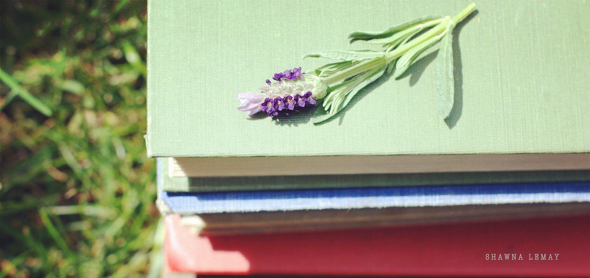  惊人|心地善良, 但危险指数最高的三大星座, 一旦发火, 破坏力格外惊人