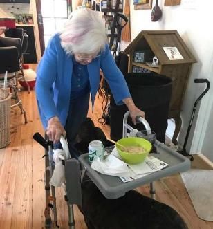 棒棒糖|狗被主人遗弃，主人的话让人愤怒，被救后，狗用行动报恩